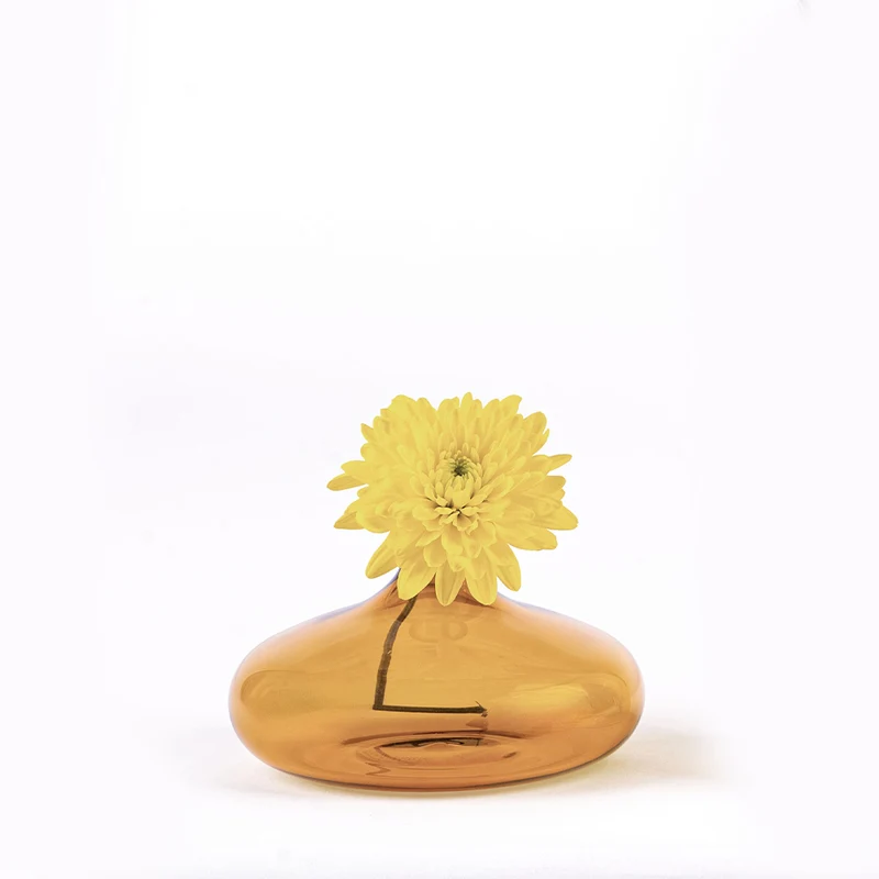 6 cm - Un Fiore Vaso Fiori In Vetro Borosilicato