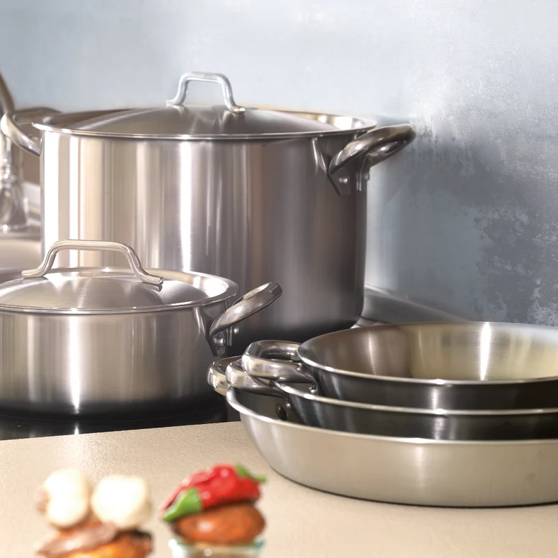 Acciaio Inox Tegame Basso Induzione Con Due Maniglie