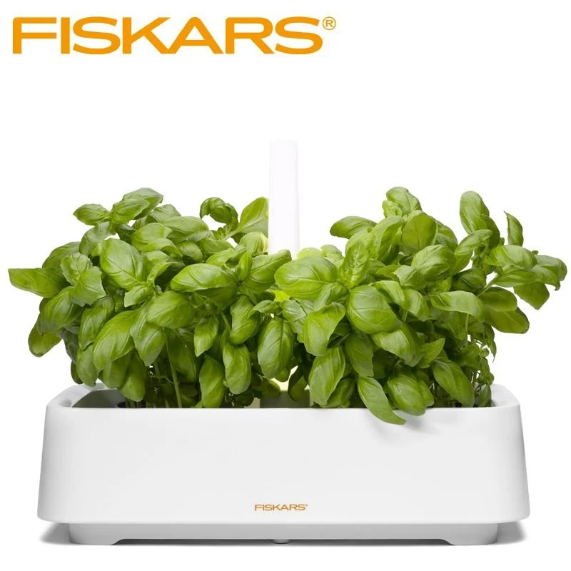 Herb Contenitore Per Erbe Aromatiche Rettangolare In Polistirene
