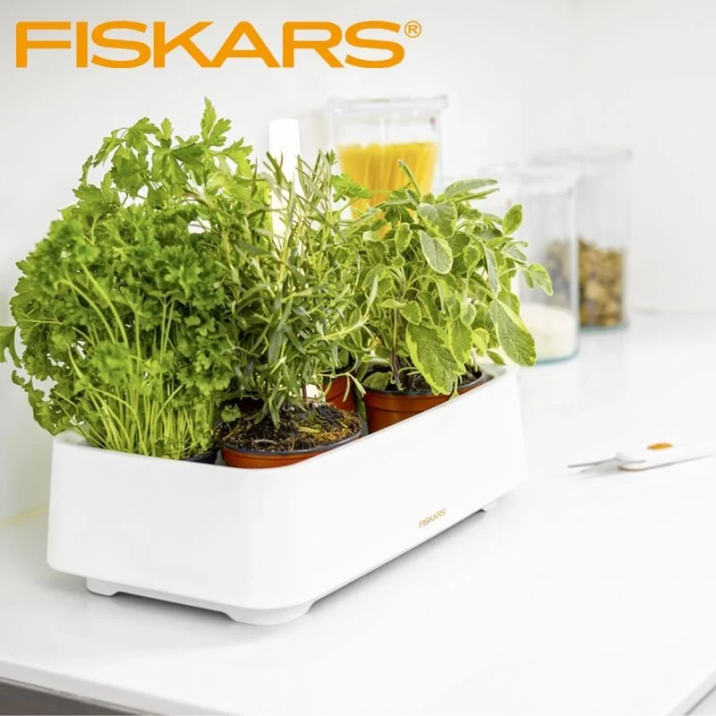 Herb Contenitore Per Erbe Aromatiche Rettangolare In Polistirene
