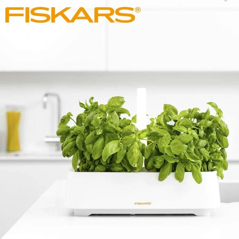 Herb Contenitore Per Erbe Aromatiche Rettangolare In Polistirene