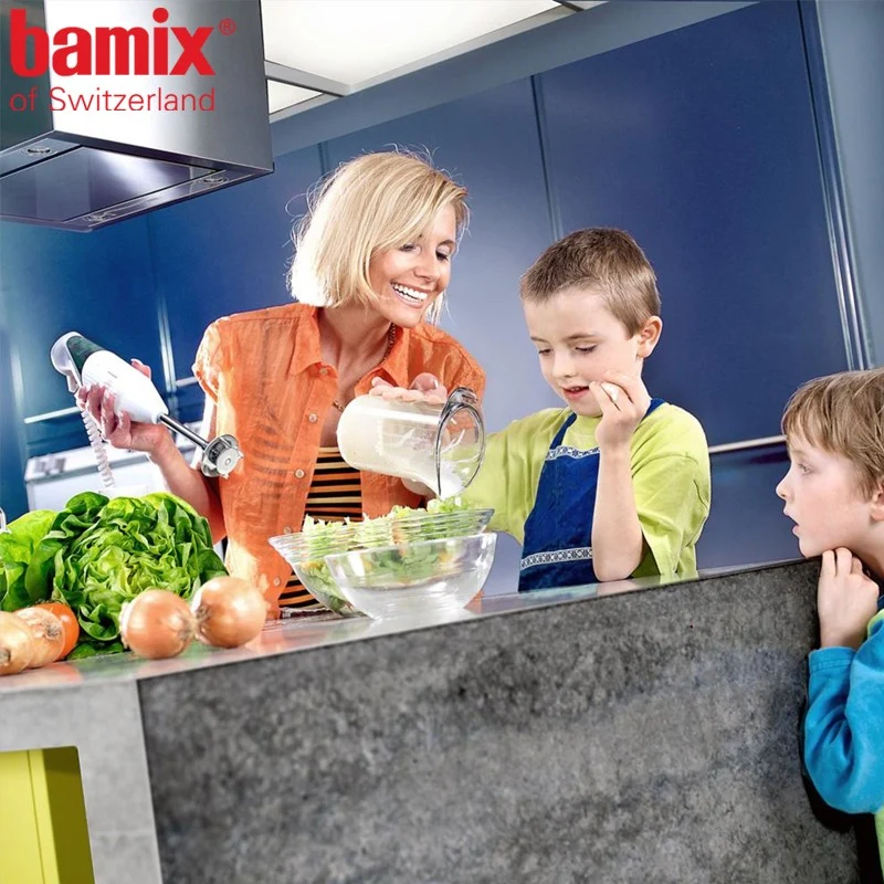 200 Watt - SwissLine Frullatore A Immersione In Acciaio Inox