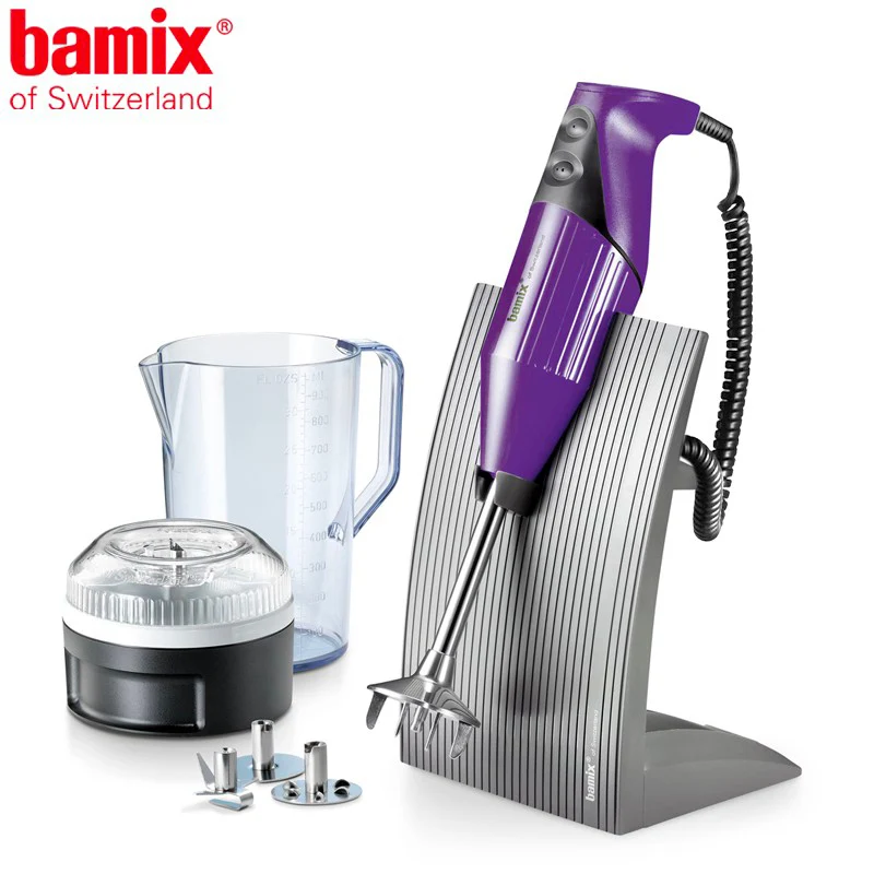 200 Watt - SwissLine Frullatore A Immersione In Acciaio Inox