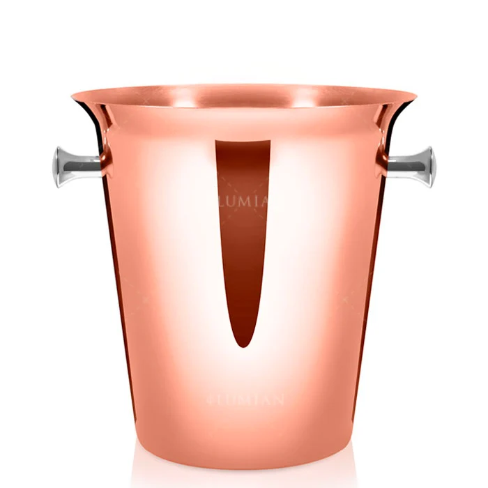 Ø 21 x H 22 cm - Dionisio Secchiello Champagne Per 1 Bottiglia In Acciaio Inox
