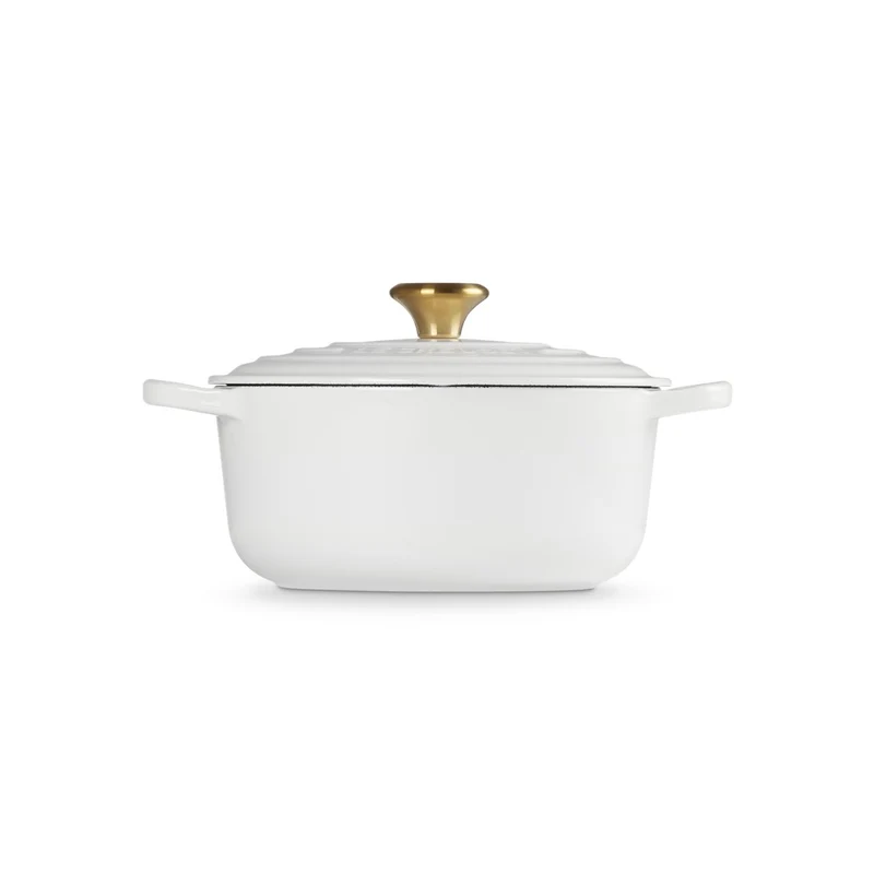20 cm - Cocotte Evolution Casseruola Rotonda In Ghisa