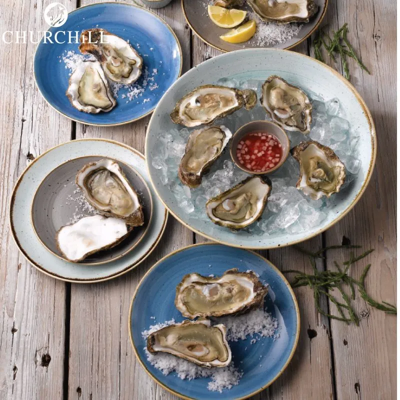 Stonecast Servizio Piatti In Porcellana Vetrificata - Set 12 Pz