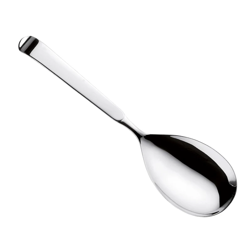 Astra Cucchiaione Servire In Acciaio Inox
