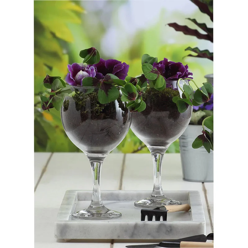 21 cl - Misket Calice Multiuso in Vetro - Set 6 Pezzi