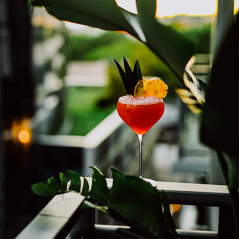 67.5 cl - Fantasy Calice Cocktail in Vetro - Set 2 Pezzi